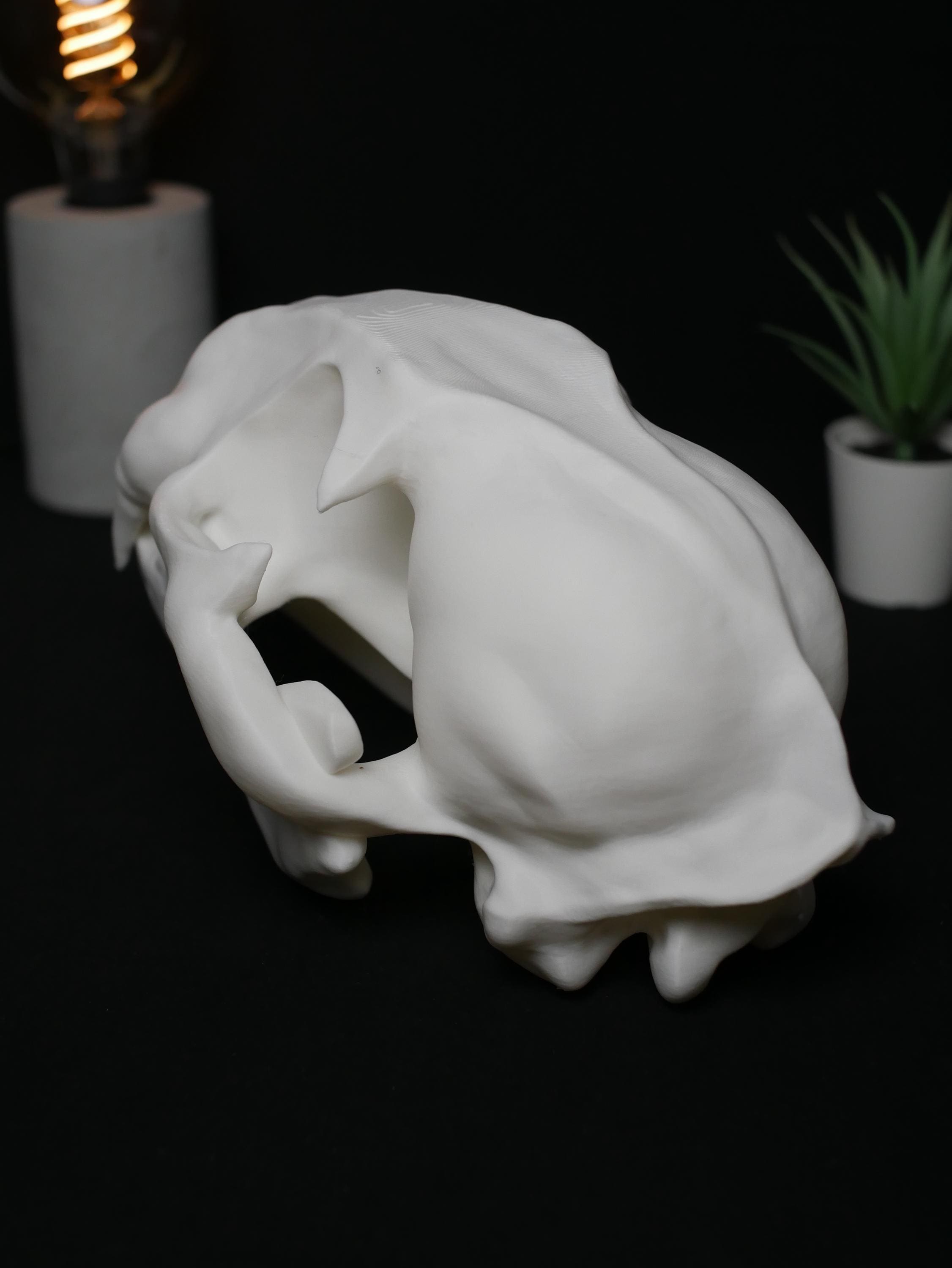 Réplica de cráneo de gato: realista, libre de crueldad animal, ideal para amantes de los gatos, decoración y colección, alta calidad.