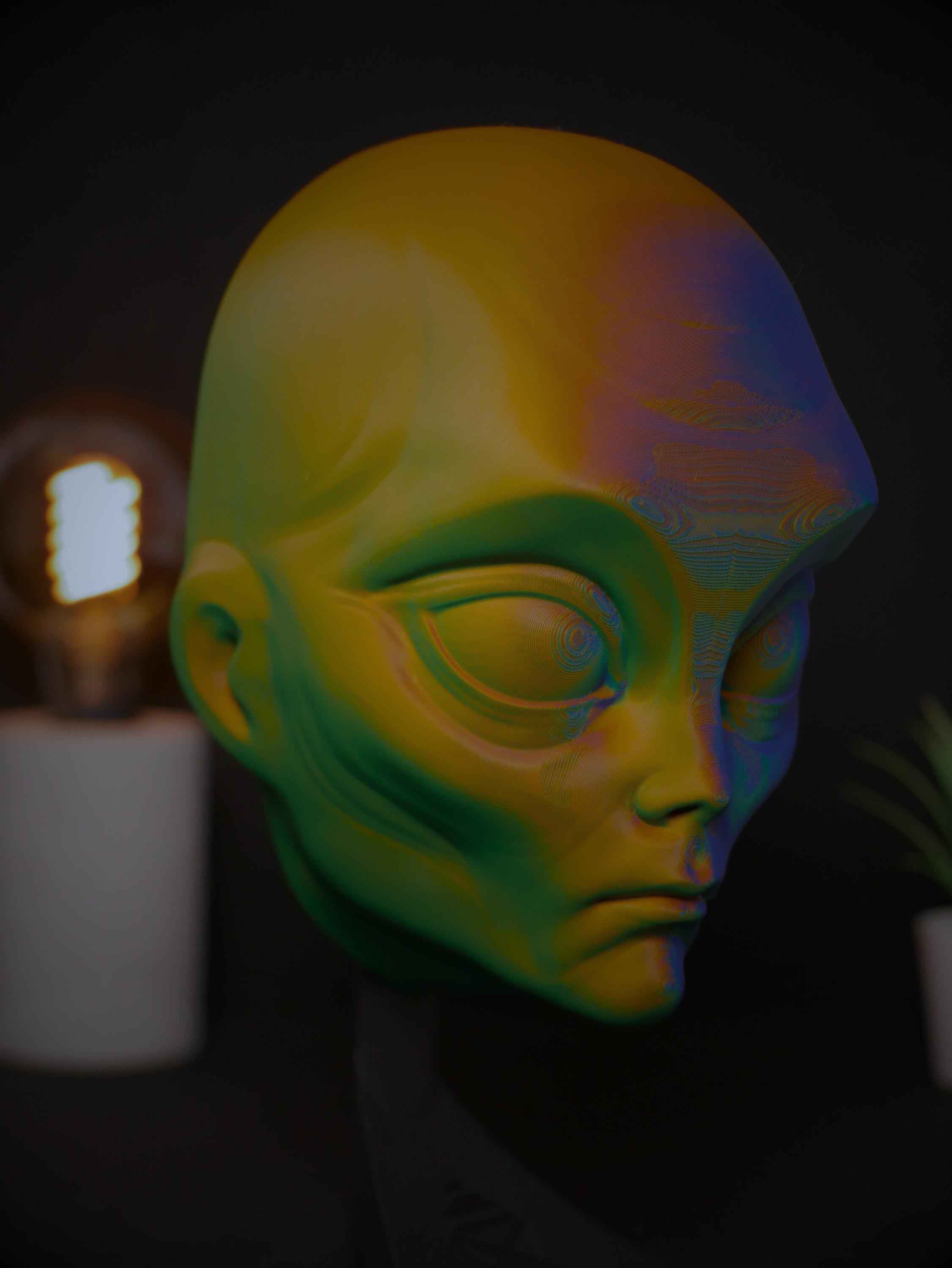 Arte de pared con cabeza de extraterrestre personalizada / Decoración de ciencia ficción impresa en 3D personalizada / Escultura extraterrestre / Regalo geek único / Oficina en casa