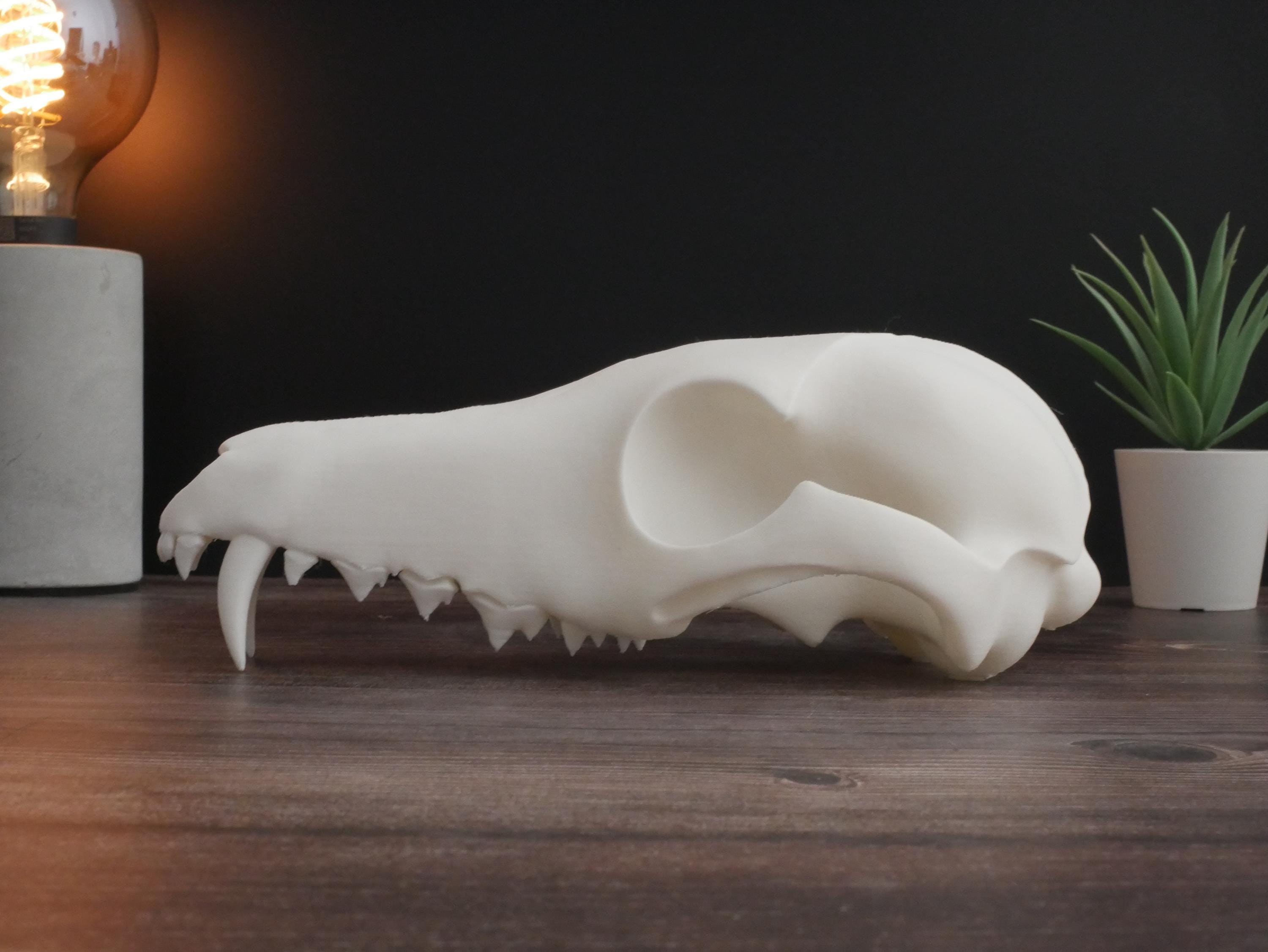 Réplica realista de cráneo de lobo impresa en 3D: decoración animal única, perfecta para el hogar, la oficina o como regalo para coleccionistas.