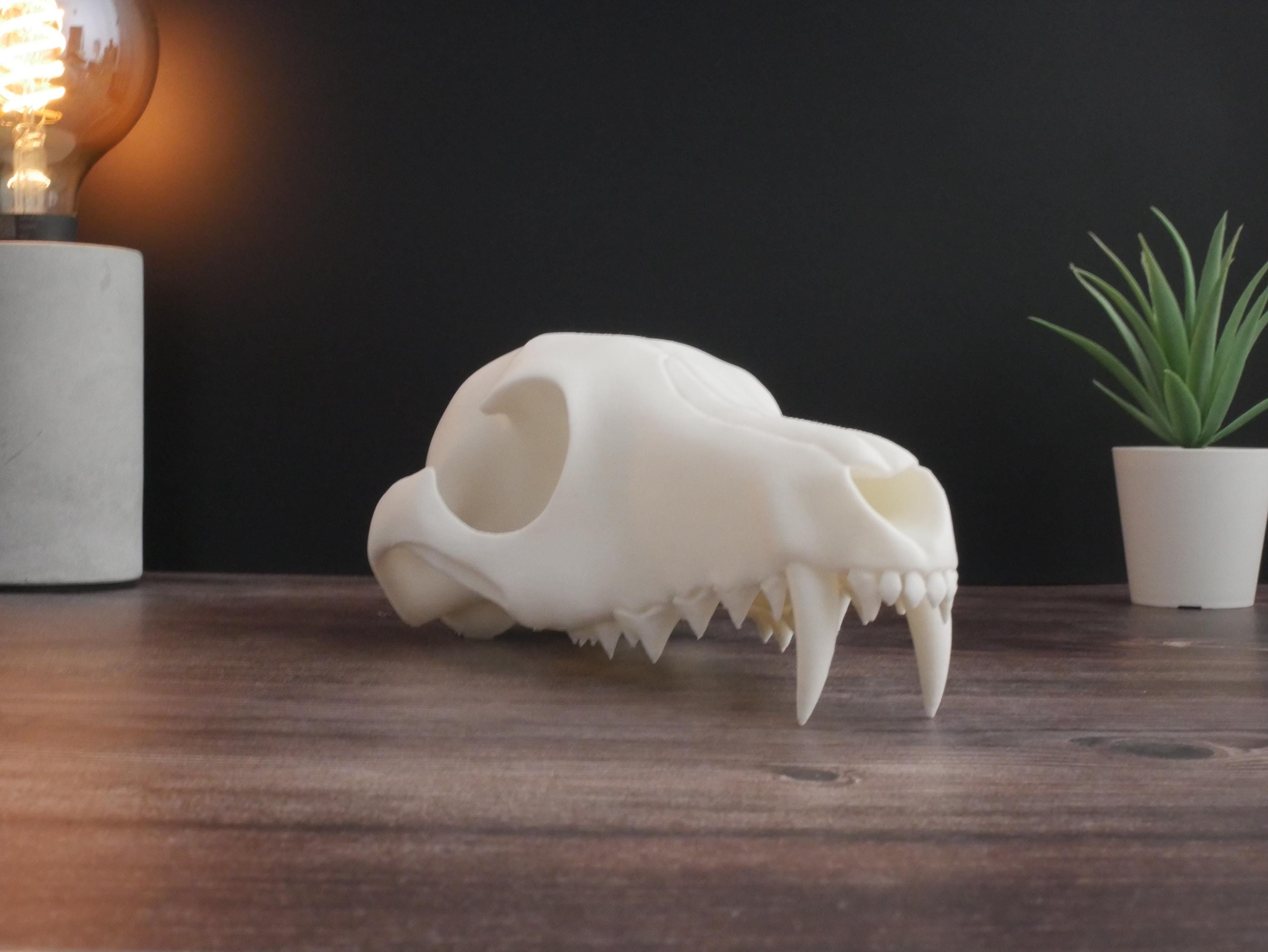 Réplica realista de cráneo de lobo impresa en 3D: decoración animal única, perfecta para el hogar, la oficina o como regalo para coleccionistas.