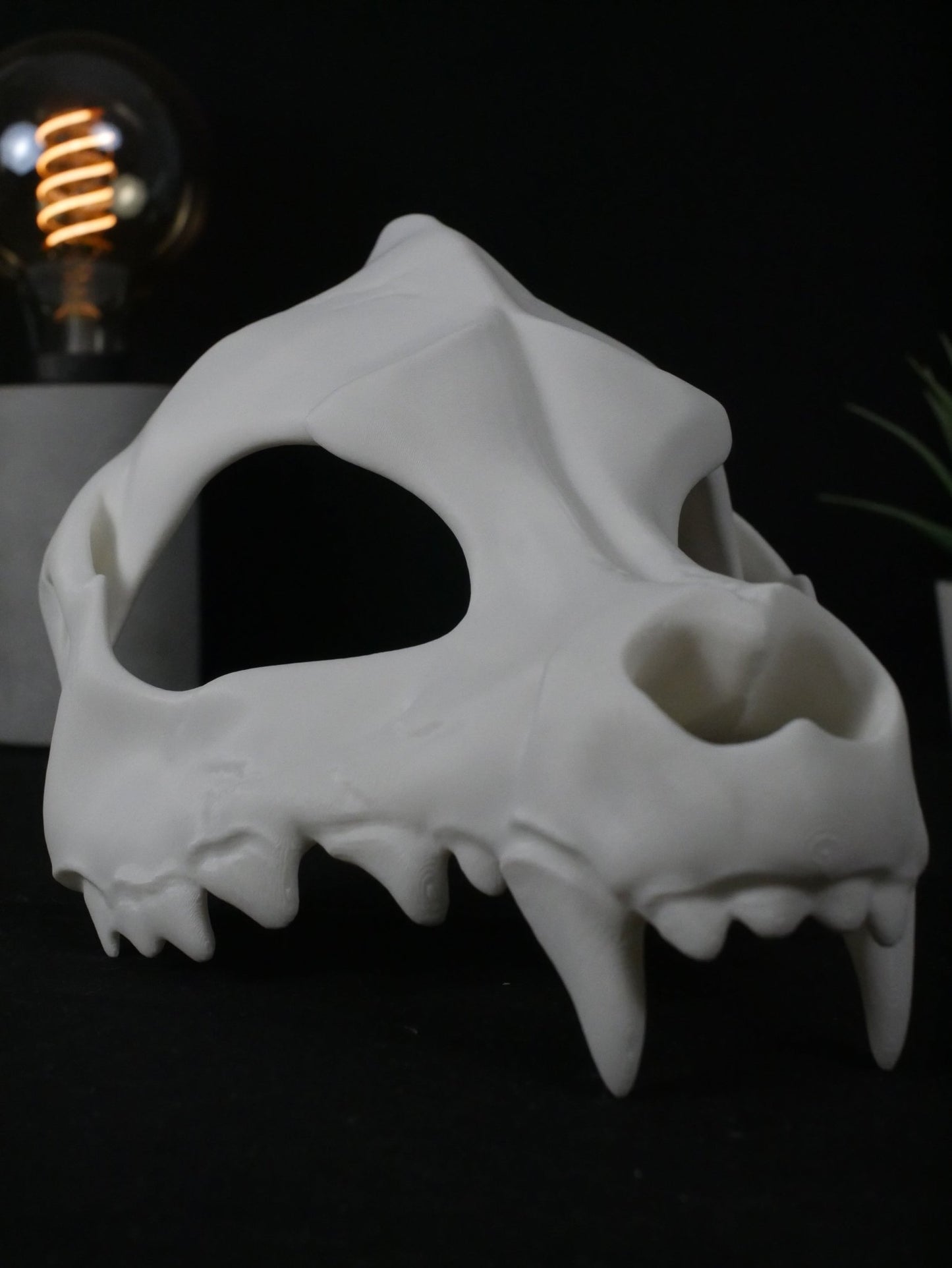 Máscara Cráneo de Lobo - Calavera Canina Realista para Cosplay, Furry y Halloween