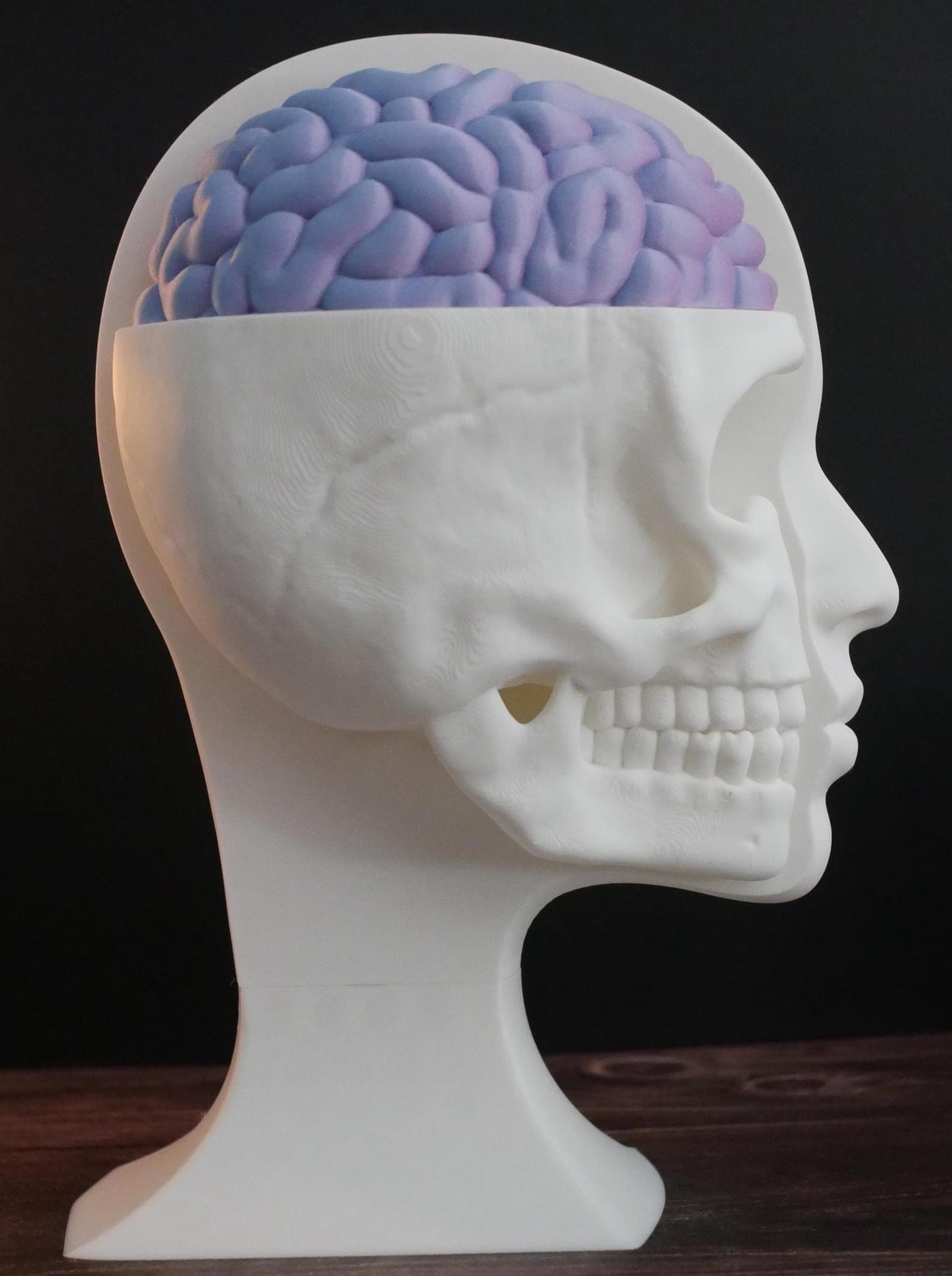 Expositor de calaveras para auriculares: un soporte único para auriculares de gaming, música y coleccionistas. Diseño resistente, elegante y compacto para cualquier configuración.