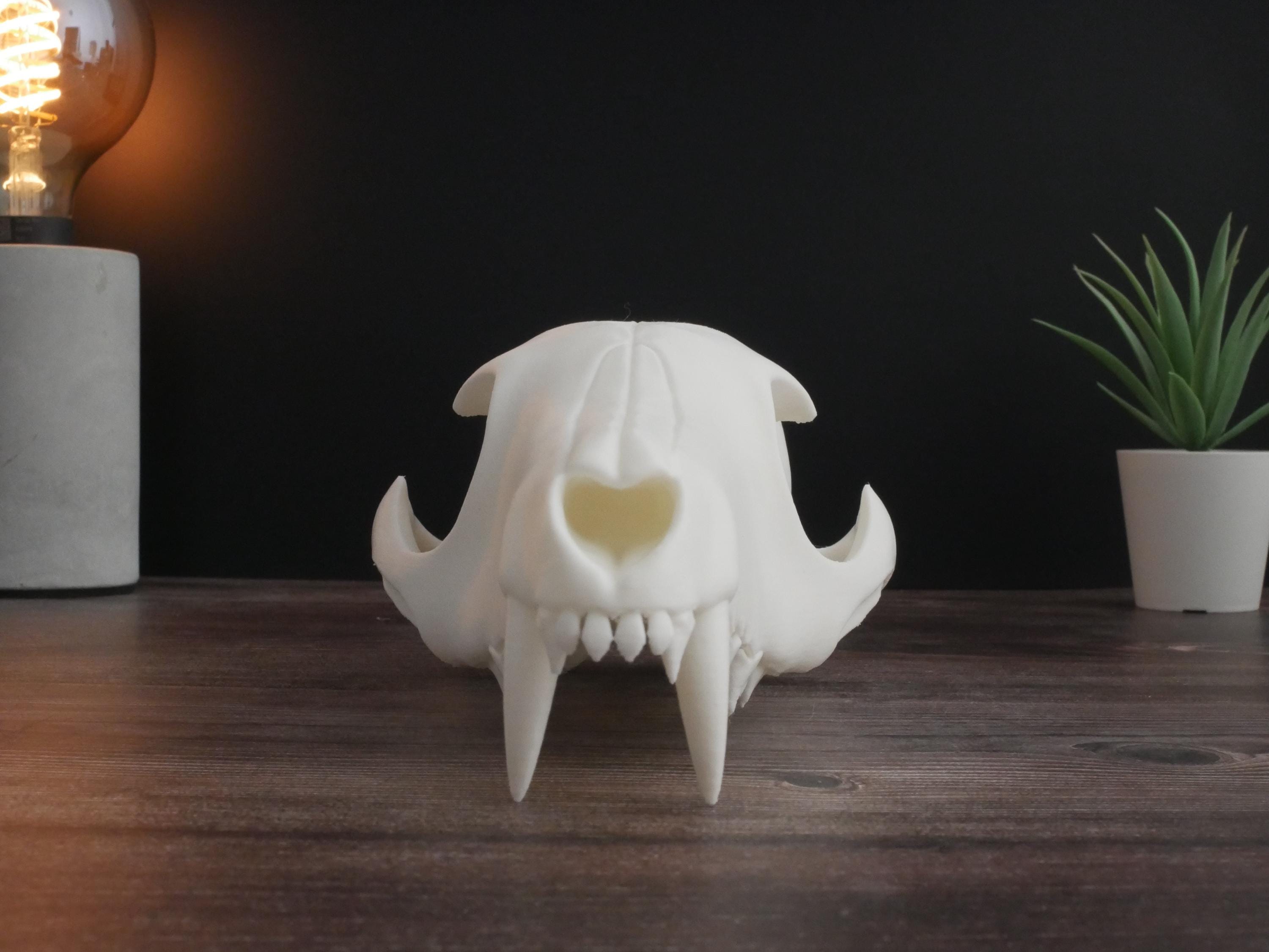 Réplica realista de cráneo de lobo impresa en 3D: decoración animal única, perfecta para el hogar, la oficina o como regalo para coleccionistas.