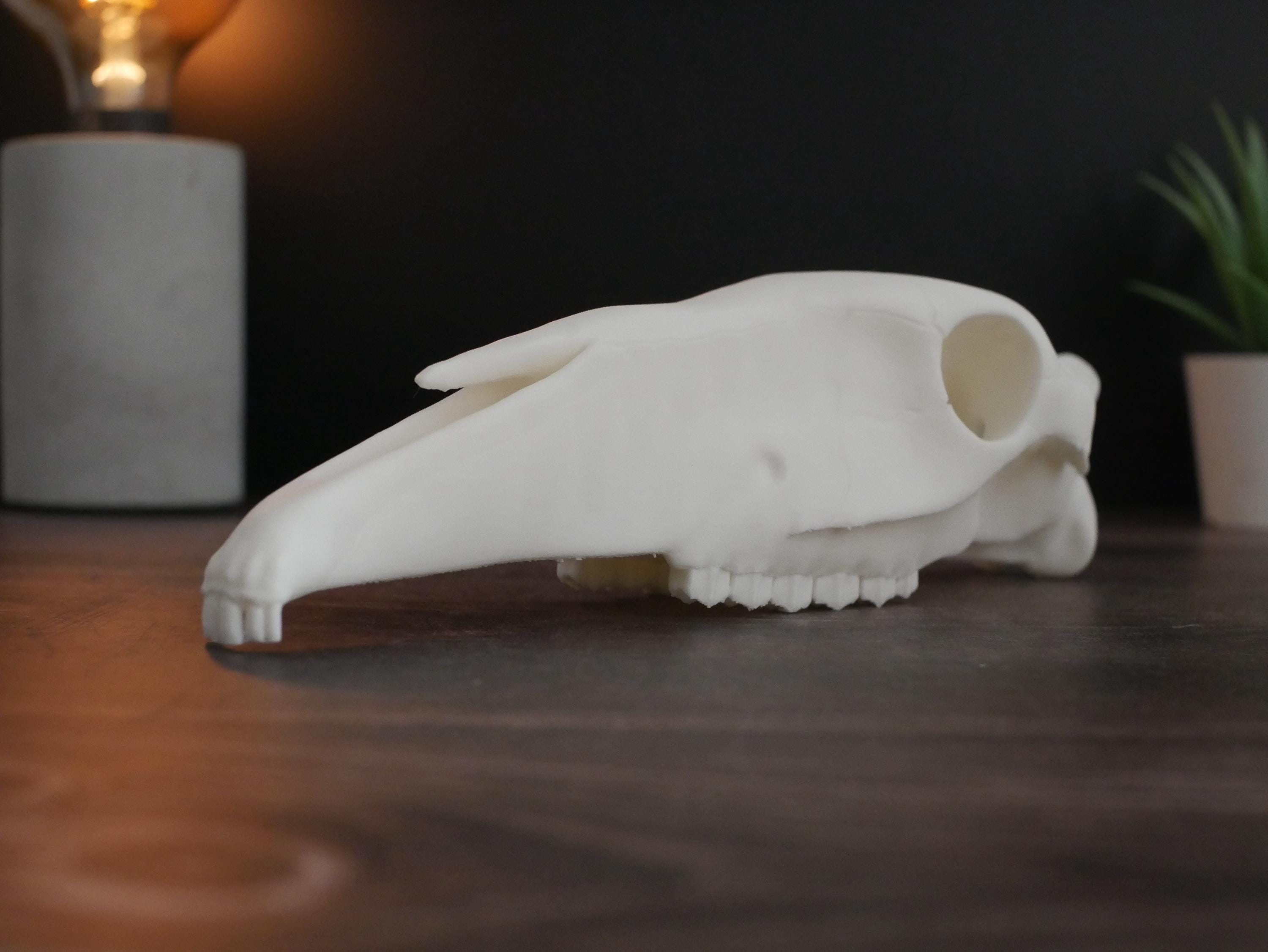 Réplica realista de cráneo de caballo impresa en 3D: decoración animal única, perfecta para el hogar, la oficina o como regalo para coleccionistas.