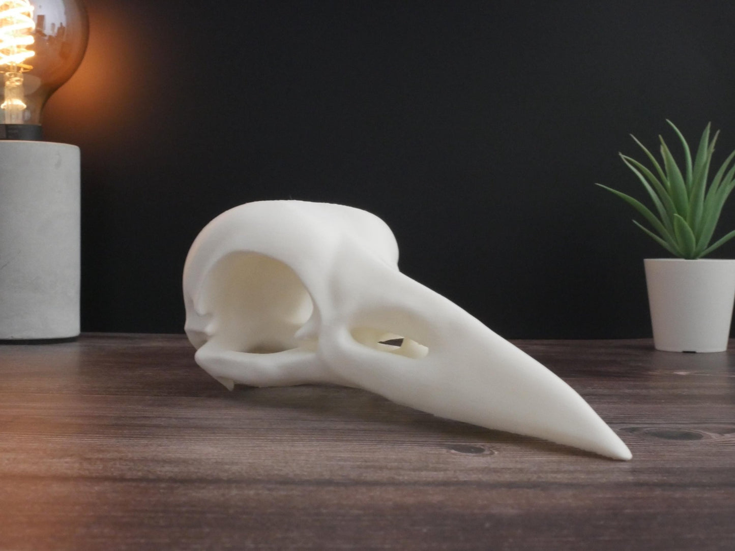 Réplica de calavera de cuervo: decoración gótica impresa en 3D y exhibición educativa, parece una calavera de cuervo real, perfecta para decoración y regalo.