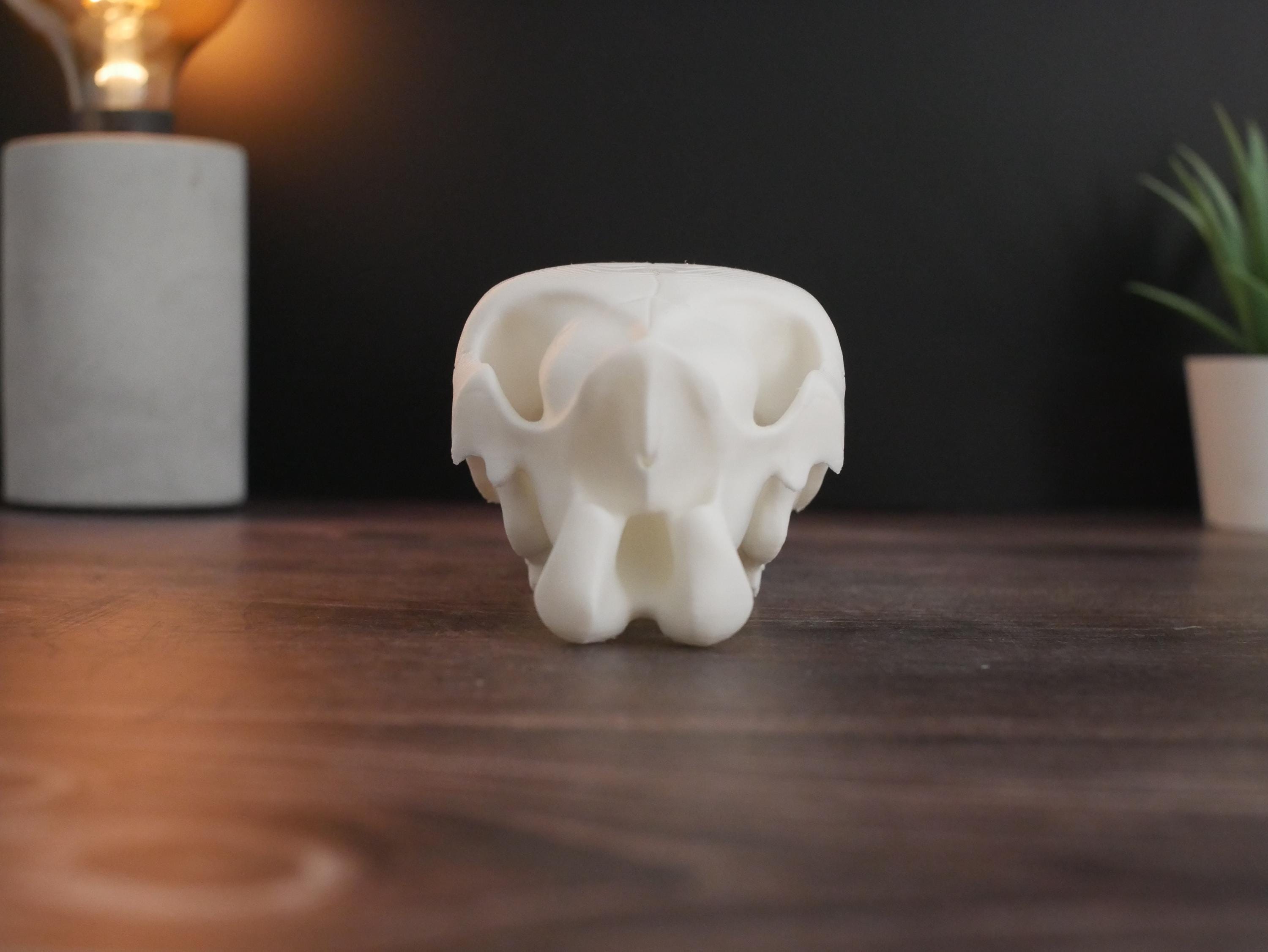 Réplica realista de cráneo de caballo impresa en 3D: decoración animal única, perfecta para el hogar, la oficina o como regalo para coleccionistas.