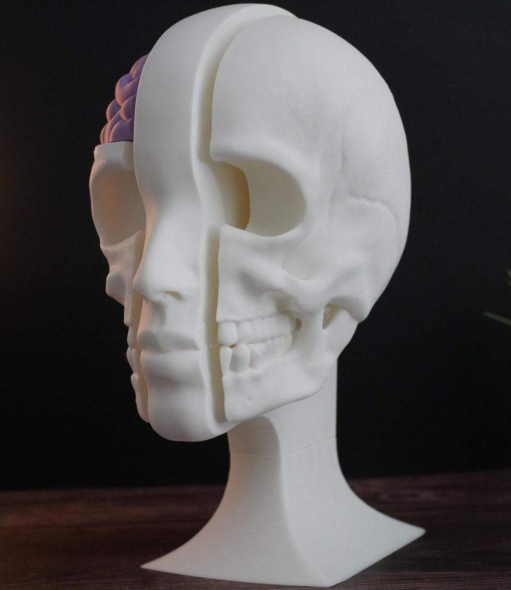 Expositor de calaveras para auriculares: un soporte único para auriculares de gaming, música y coleccionistas. Diseño resistente, elegante y compacto para cualquier configuración.
