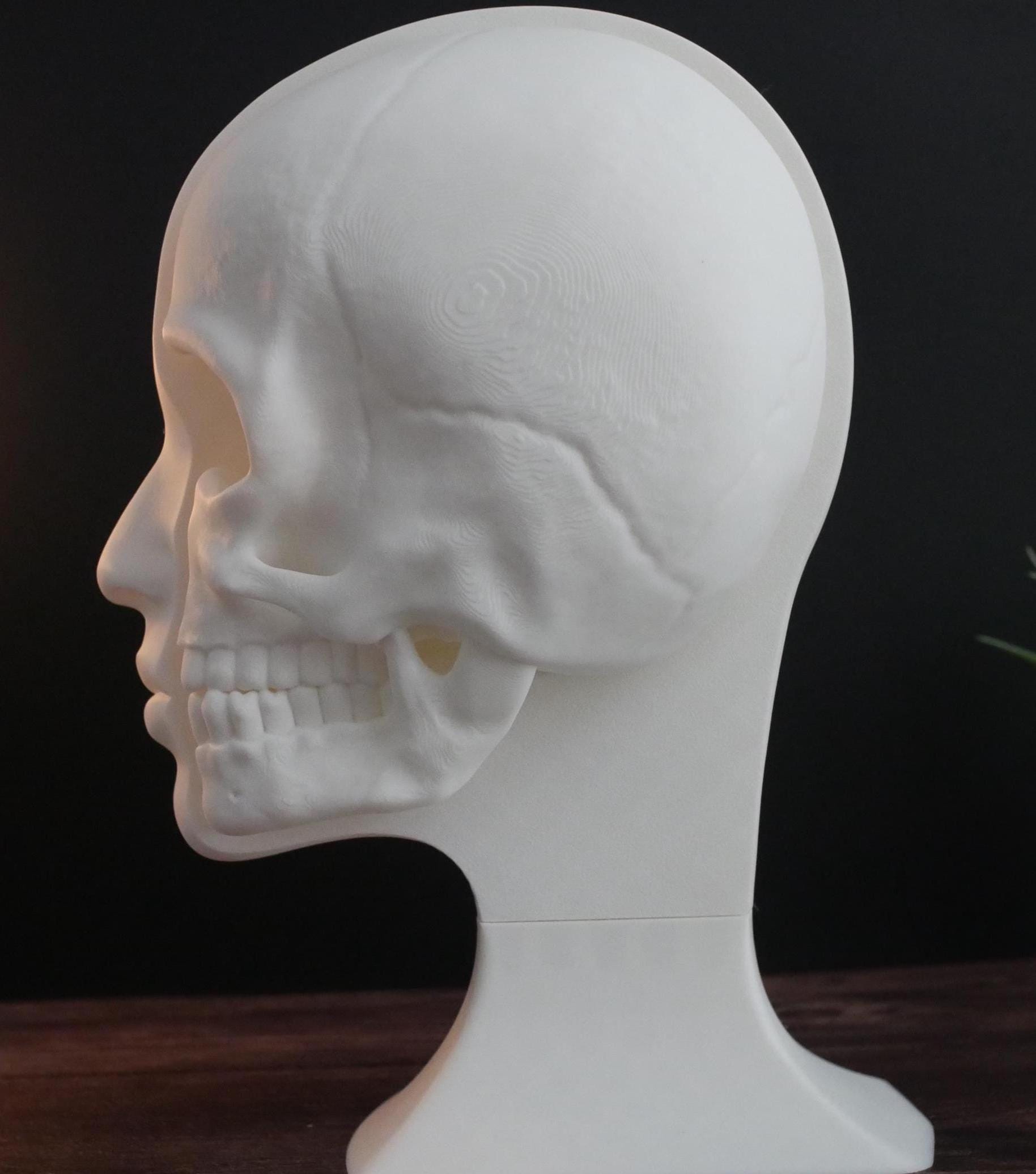 Expositor de calaveras para auriculares: un soporte único para auriculares de gaming, música y coleccionistas. Diseño resistente, elegante y compacto para cualquier configuración.