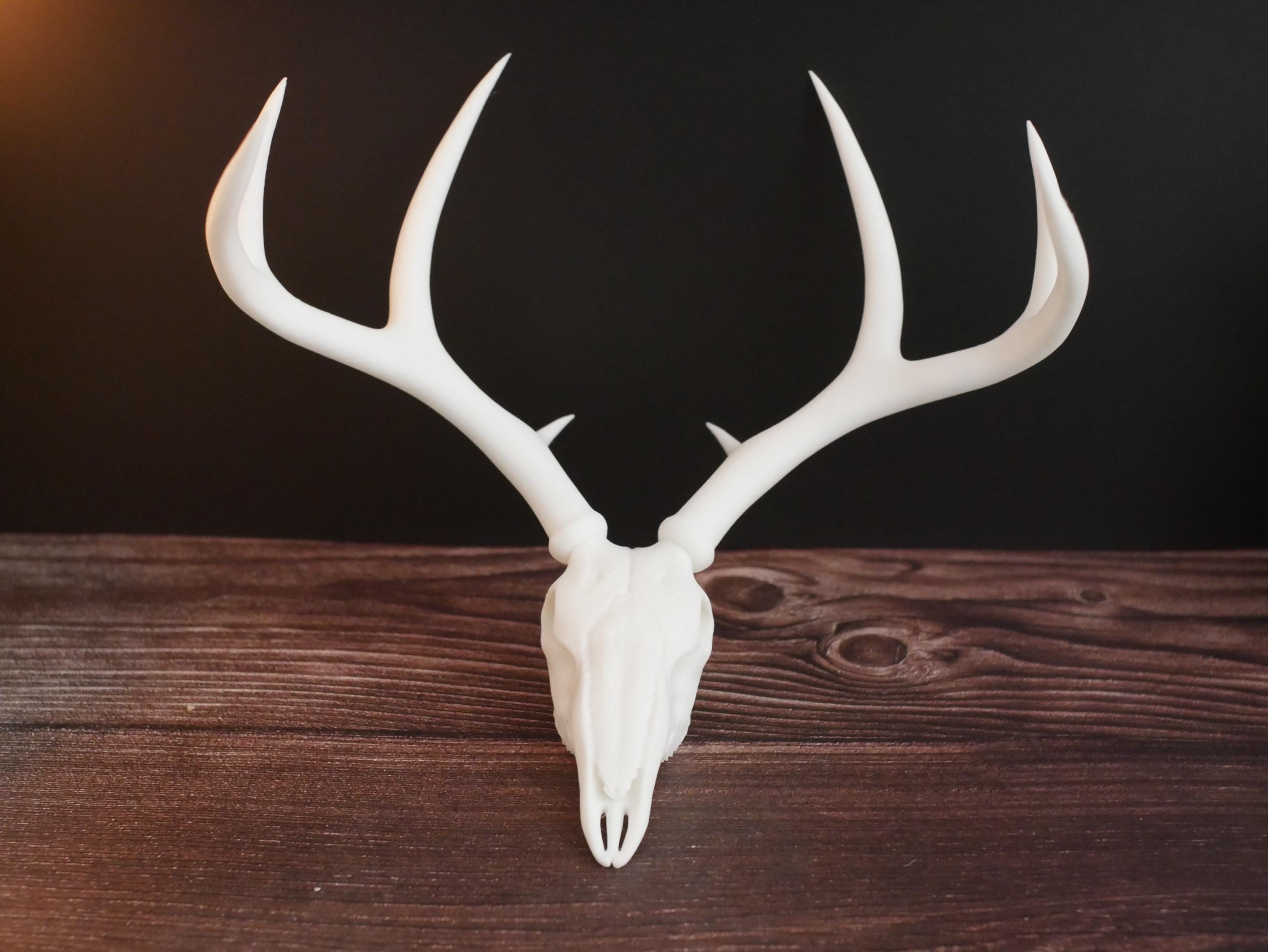 Decoración ética de réplica de cráneo de ciervo / Belleza sin daño animal / Regalo perfecto de estilo rústico