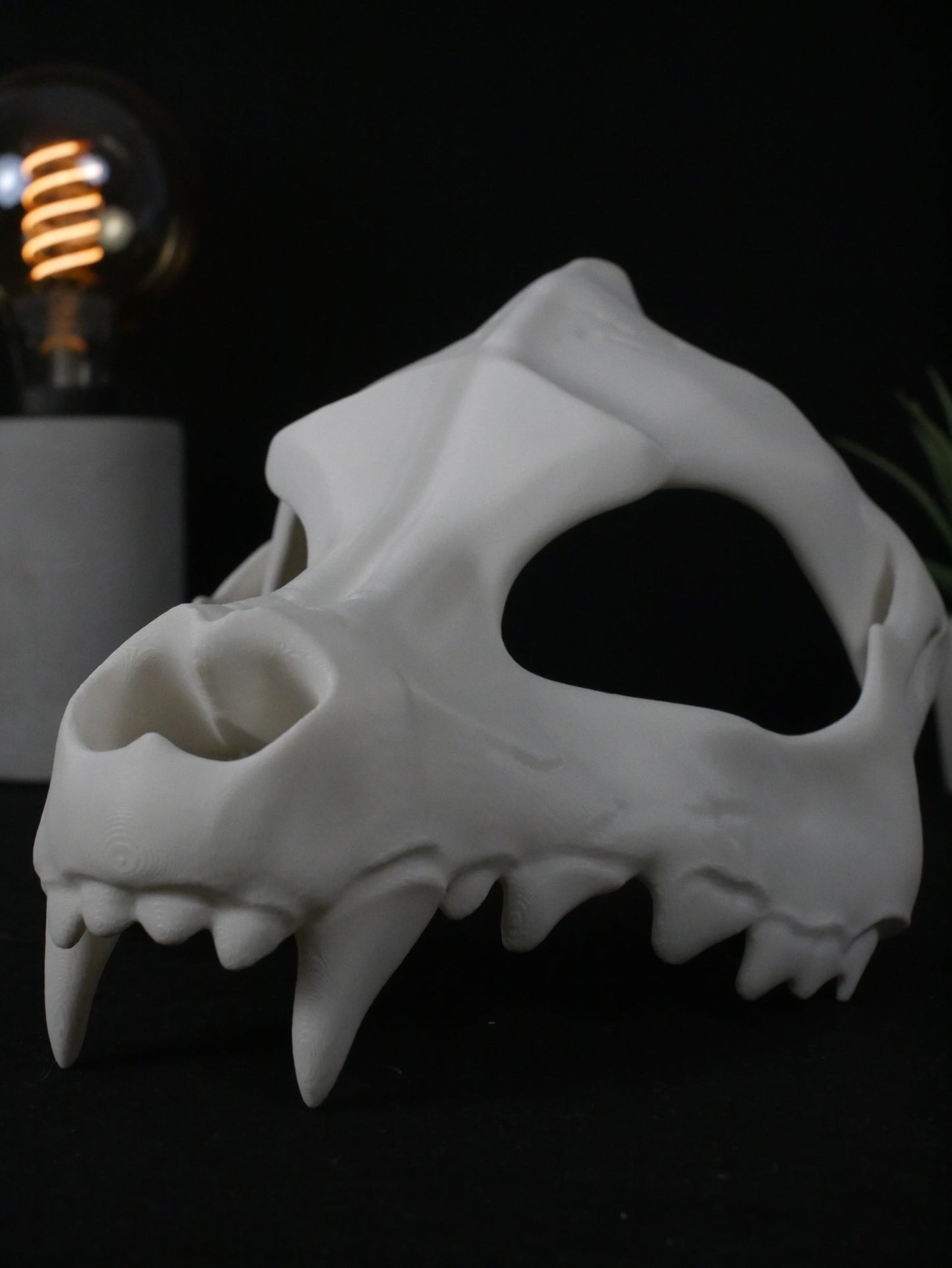 Máscara Cráneo de Lobo - Calavera Canina Realista para Cosplay, Furry y Halloween