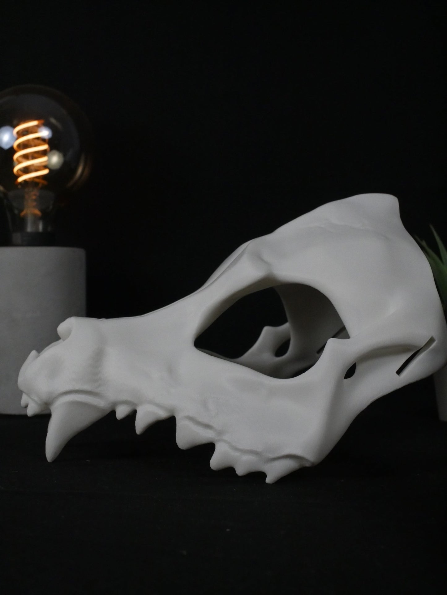 Máscara Cráneo de Lobo - Calavera Canina Realista para Cosplay, Furry y Halloween