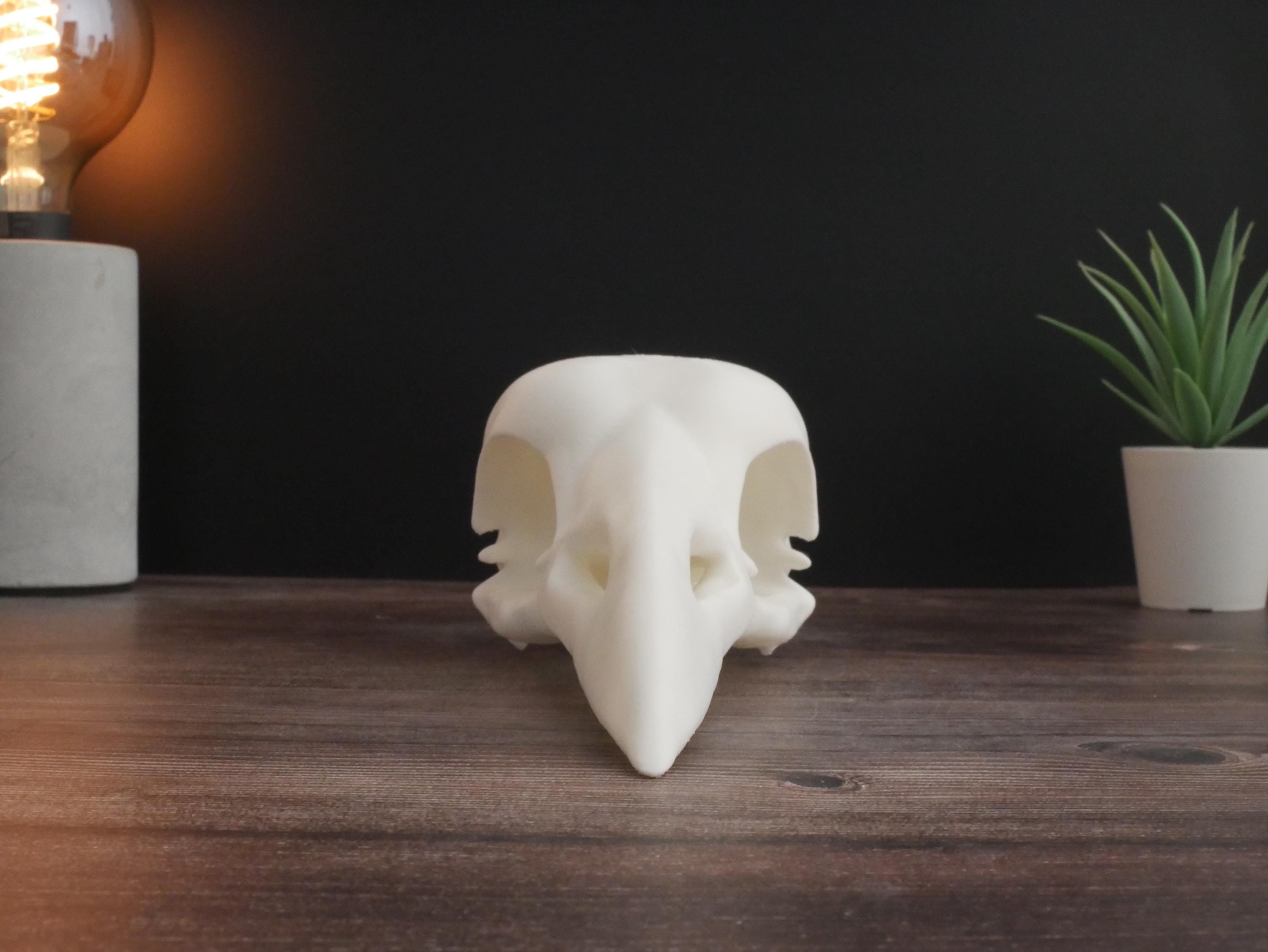 Réplica de calavera de cuervo: decoración gótica impresa en 3D y exhibición educativa, parece una calavera de cuervo real, perfecta para decoración y regalo.