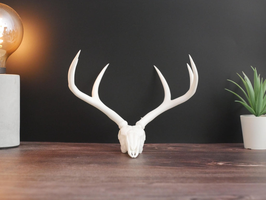 Decoración ética de réplica de cráneo de ciervo / Belleza sin daño animal / Regalo perfecto de estilo rústico