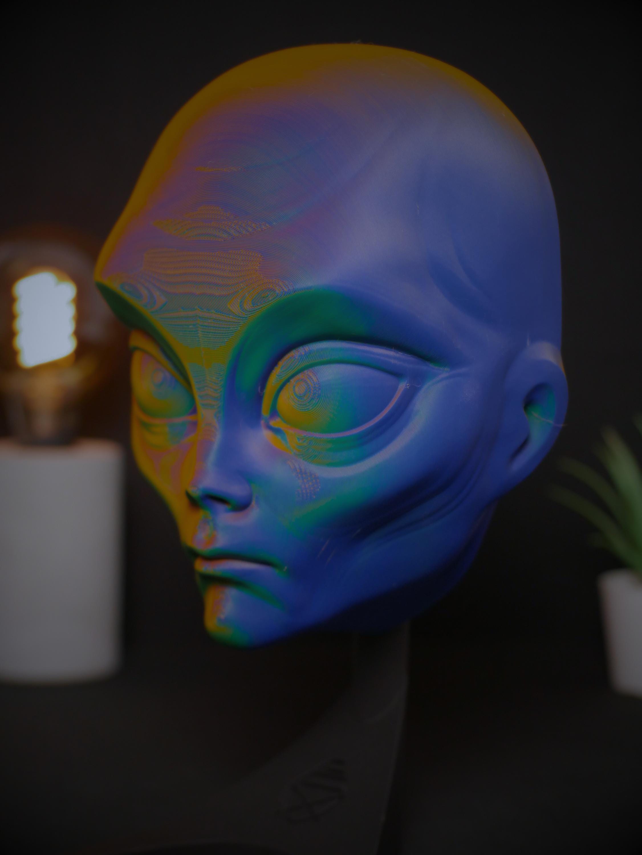 Arte de pared con cabeza de extraterrestre personalizada / Decoración de ciencia ficción impresa en 3D personalizada / Escultura extraterrestre / Regalo geek único / Oficina en casa