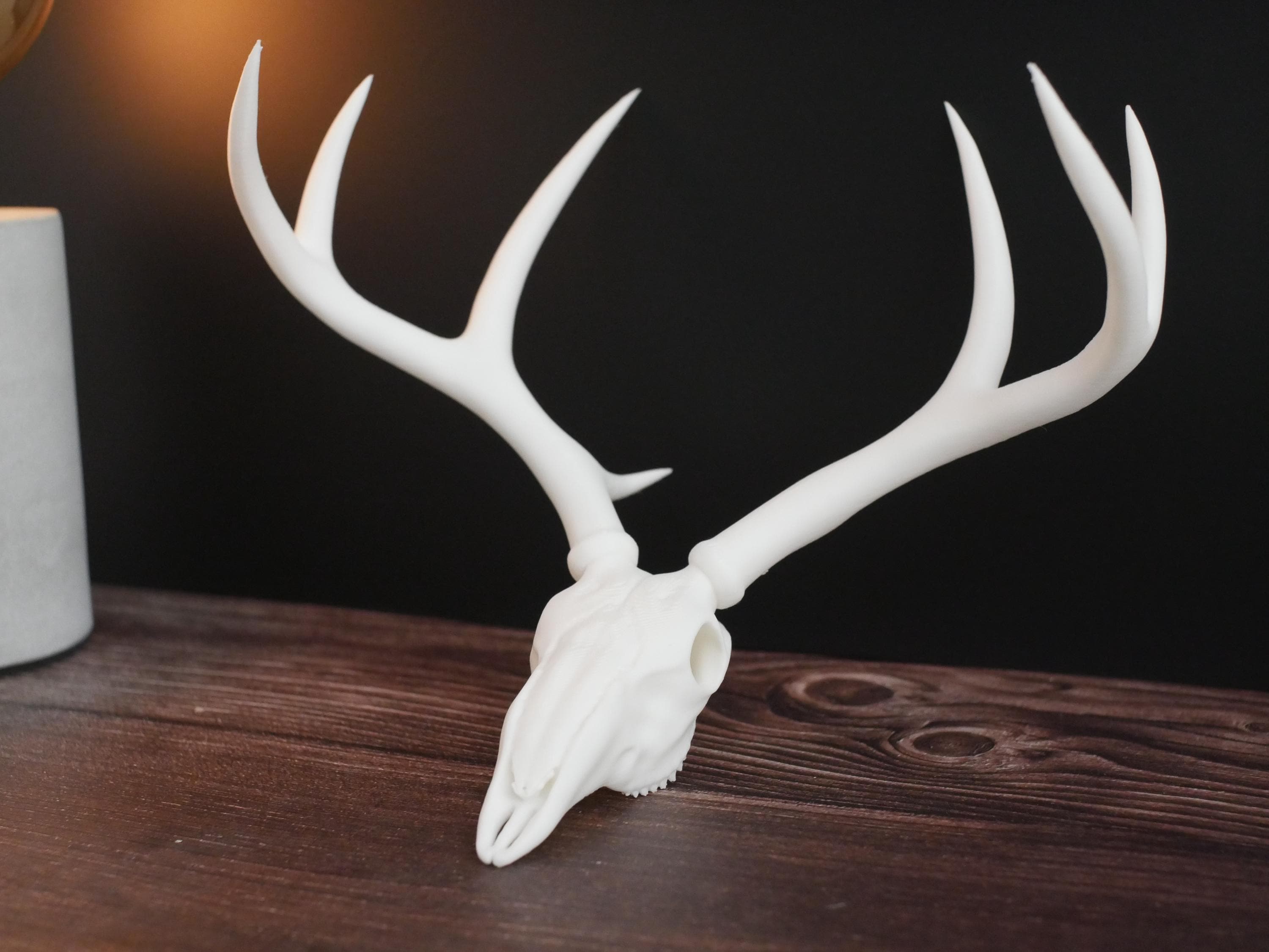 Decoración ética de réplica de cráneo de ciervo / Belleza sin daño animal / Regalo perfecto de estilo rústico