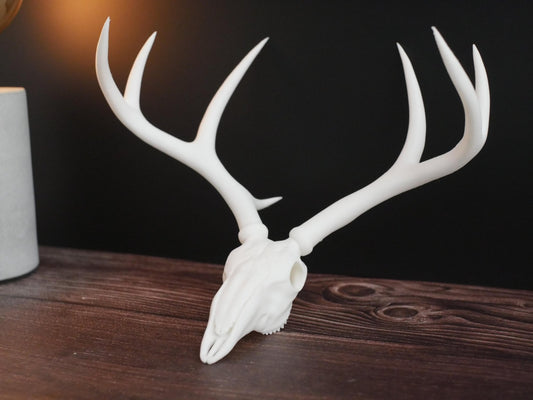 Decoración ética de réplica de cráneo de ciervo / Belleza sin daño animal / Regalo perfecto de estilo rústico