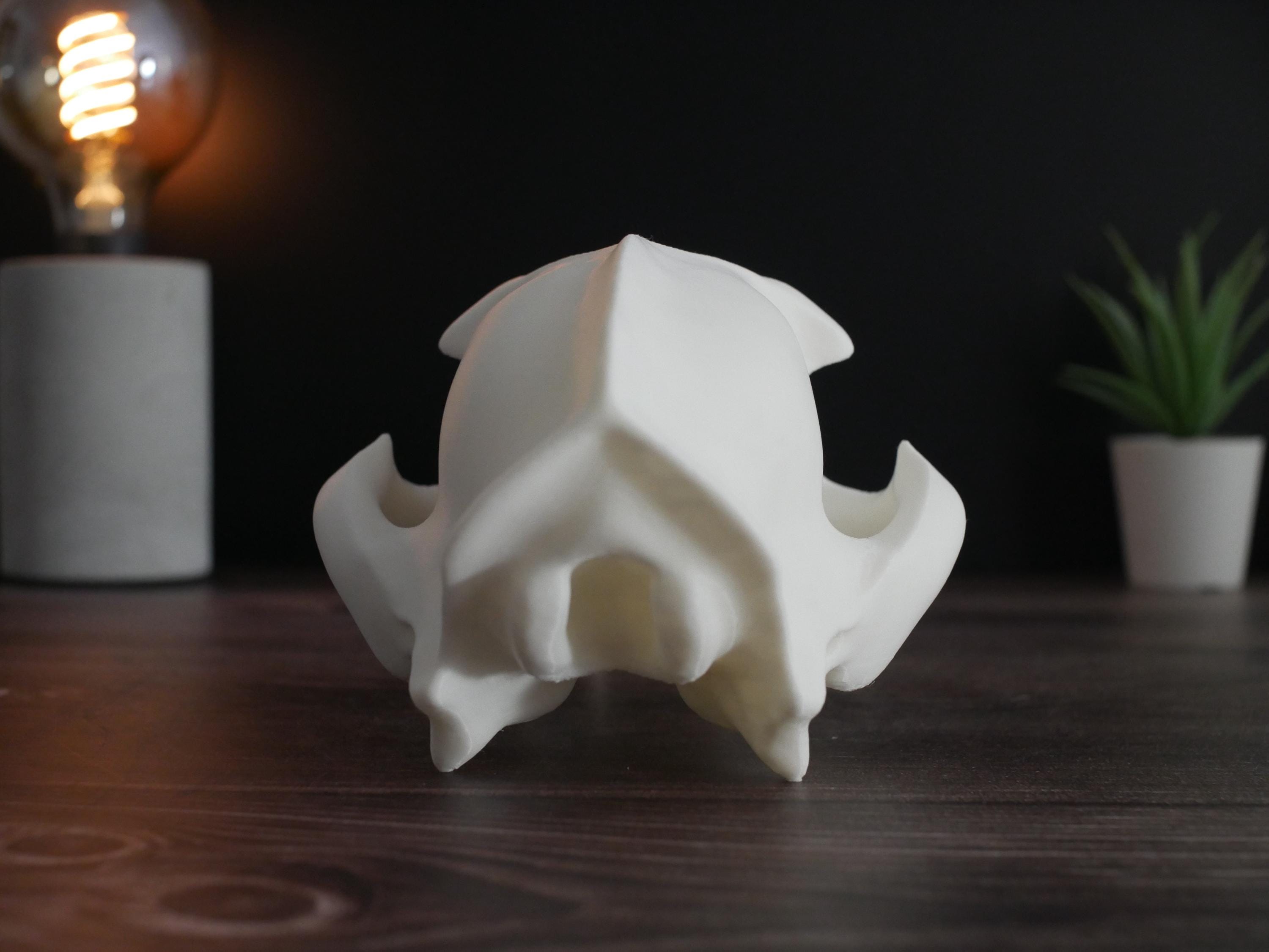 Réplica realista de cráneo de oso polar impresa en 3D: decoración animal única, perfecta para el hogar, la oficina o como regalo para coleccionistas.