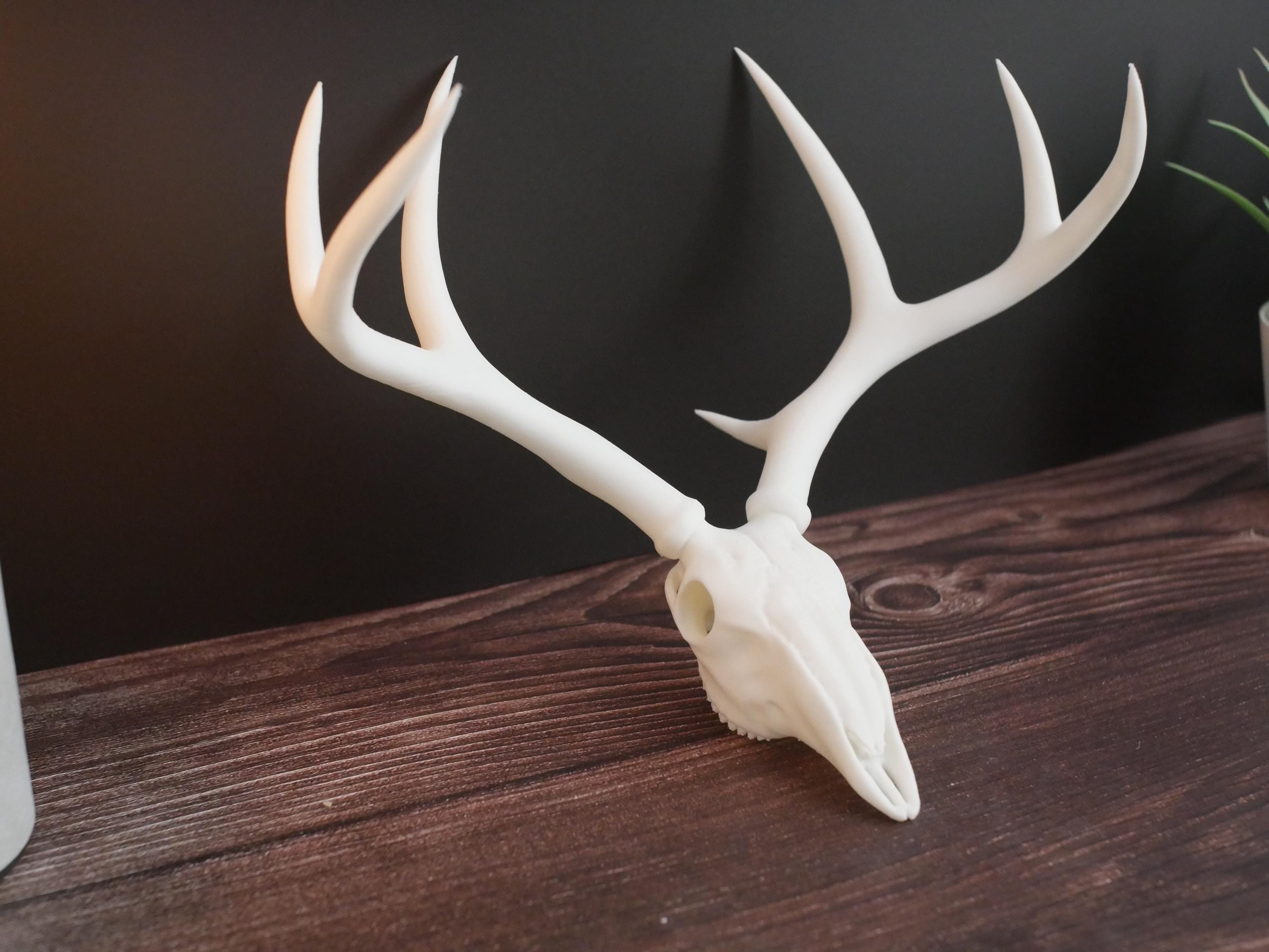 Decoración ética de réplica de cráneo de ciervo / Belleza sin daño animal / Regalo perfecto de estilo rústico